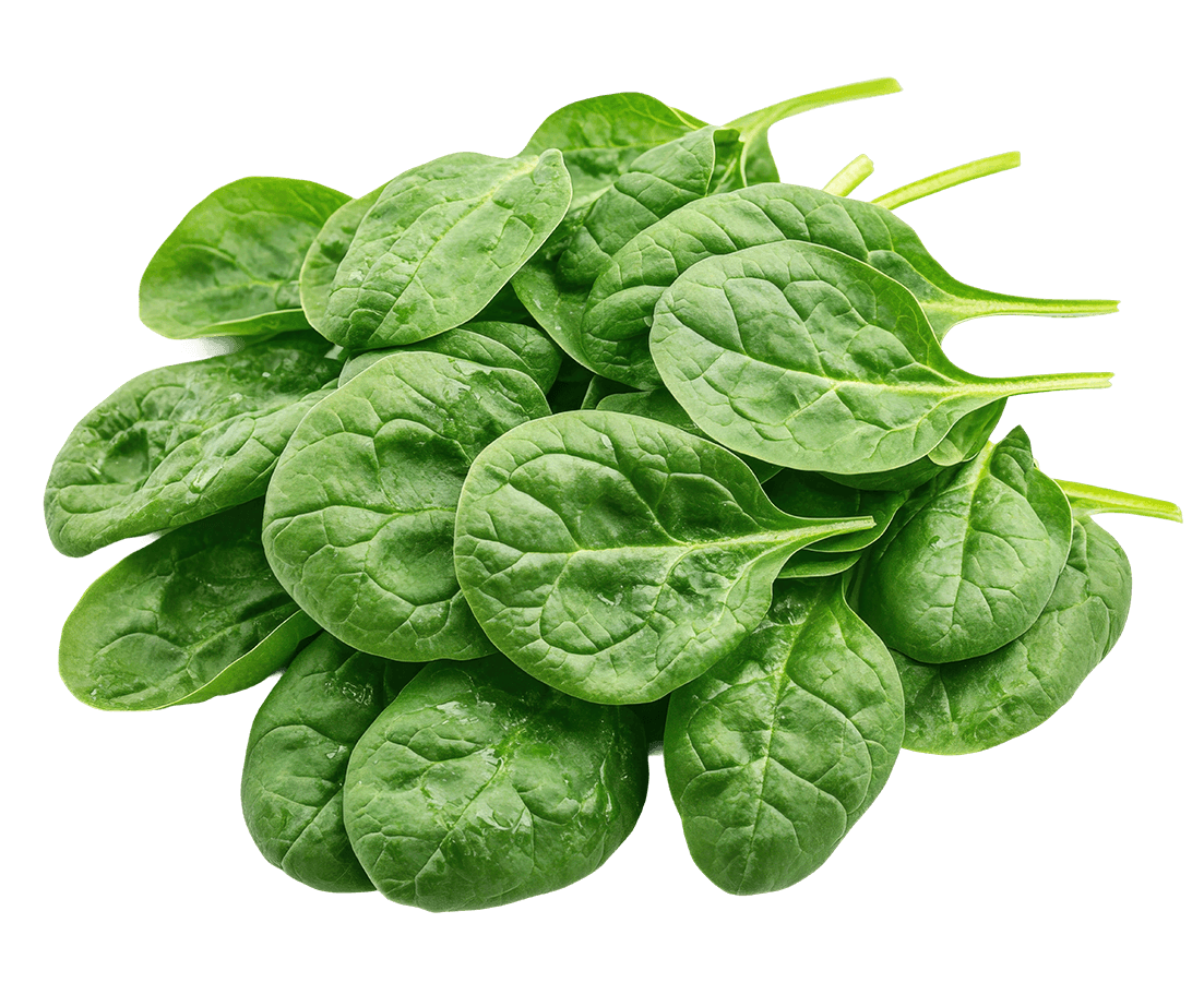 Spinach