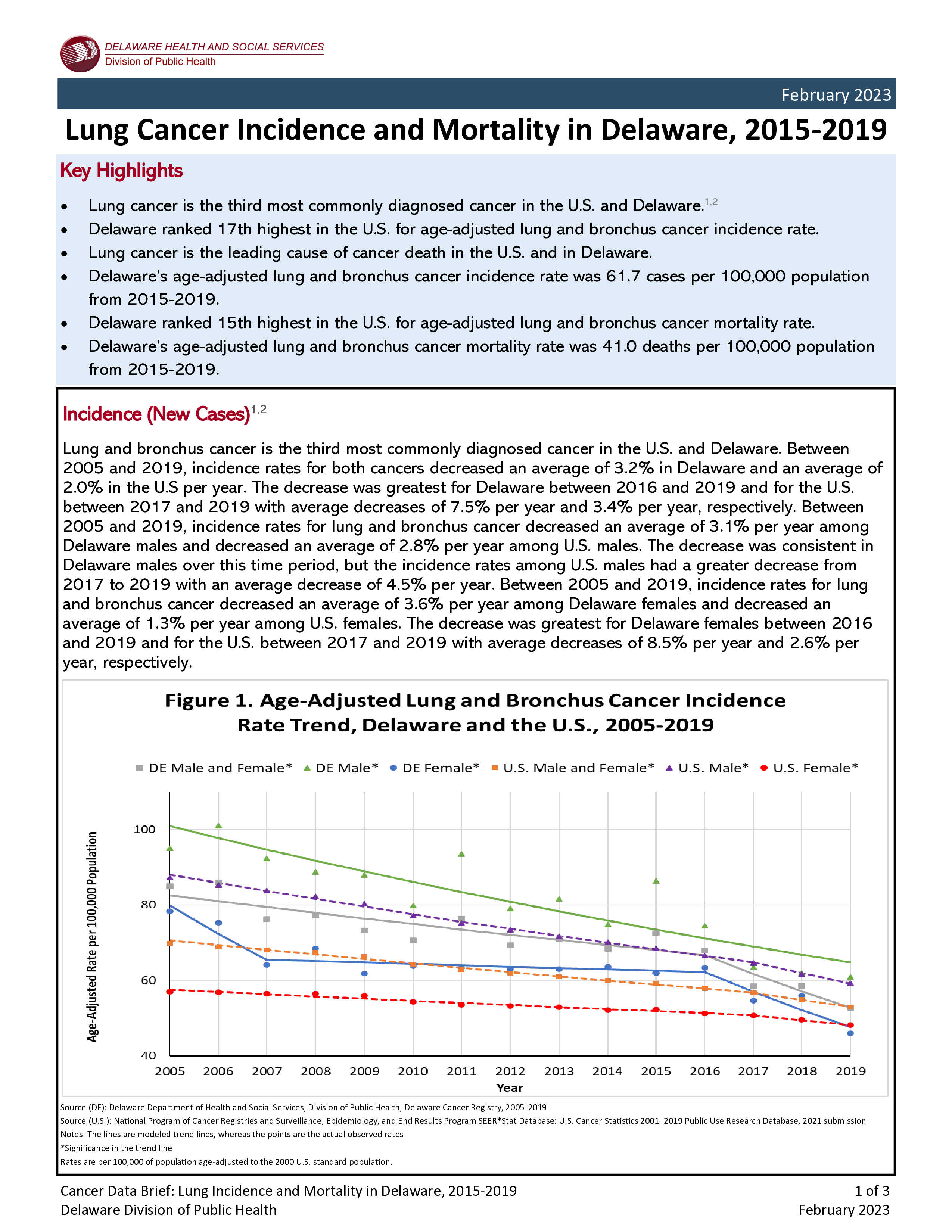 Delaware Cancer Registry (DCR) Data Brief